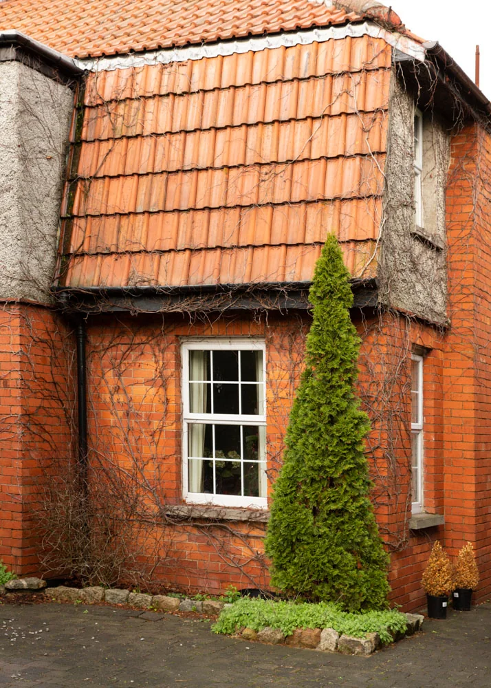 Shrub on the corner of a terracotta brick house and two dead potted plants