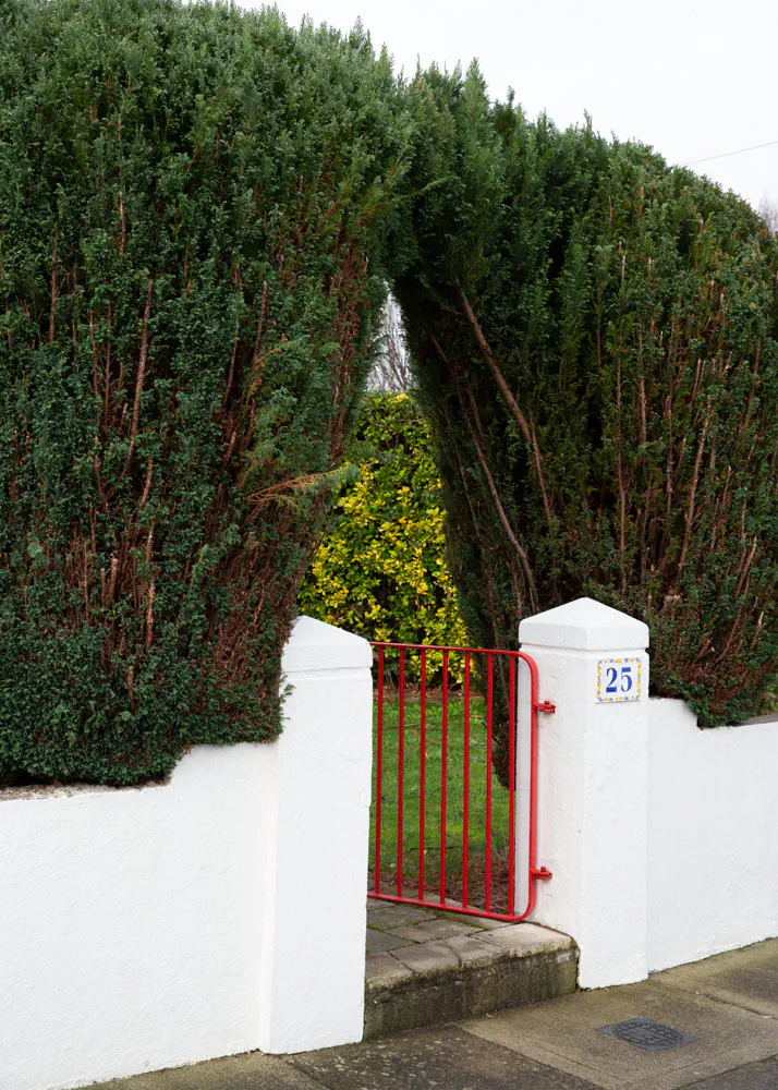 Hedge creating an archway with red entry gate