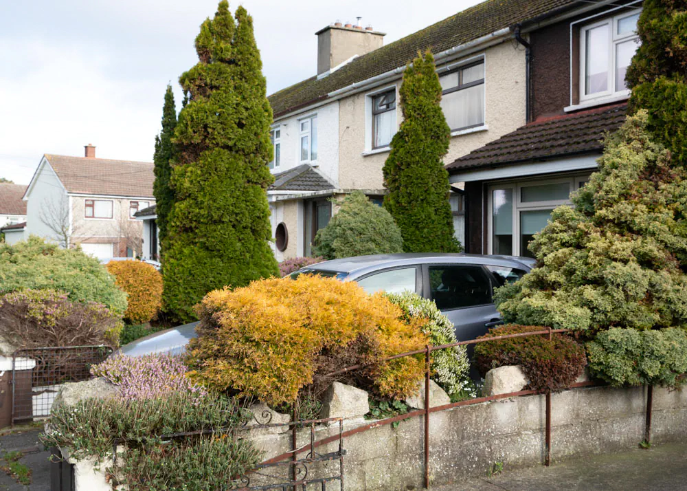 Silver car parked in front garden surrounded by various trees and shrubs