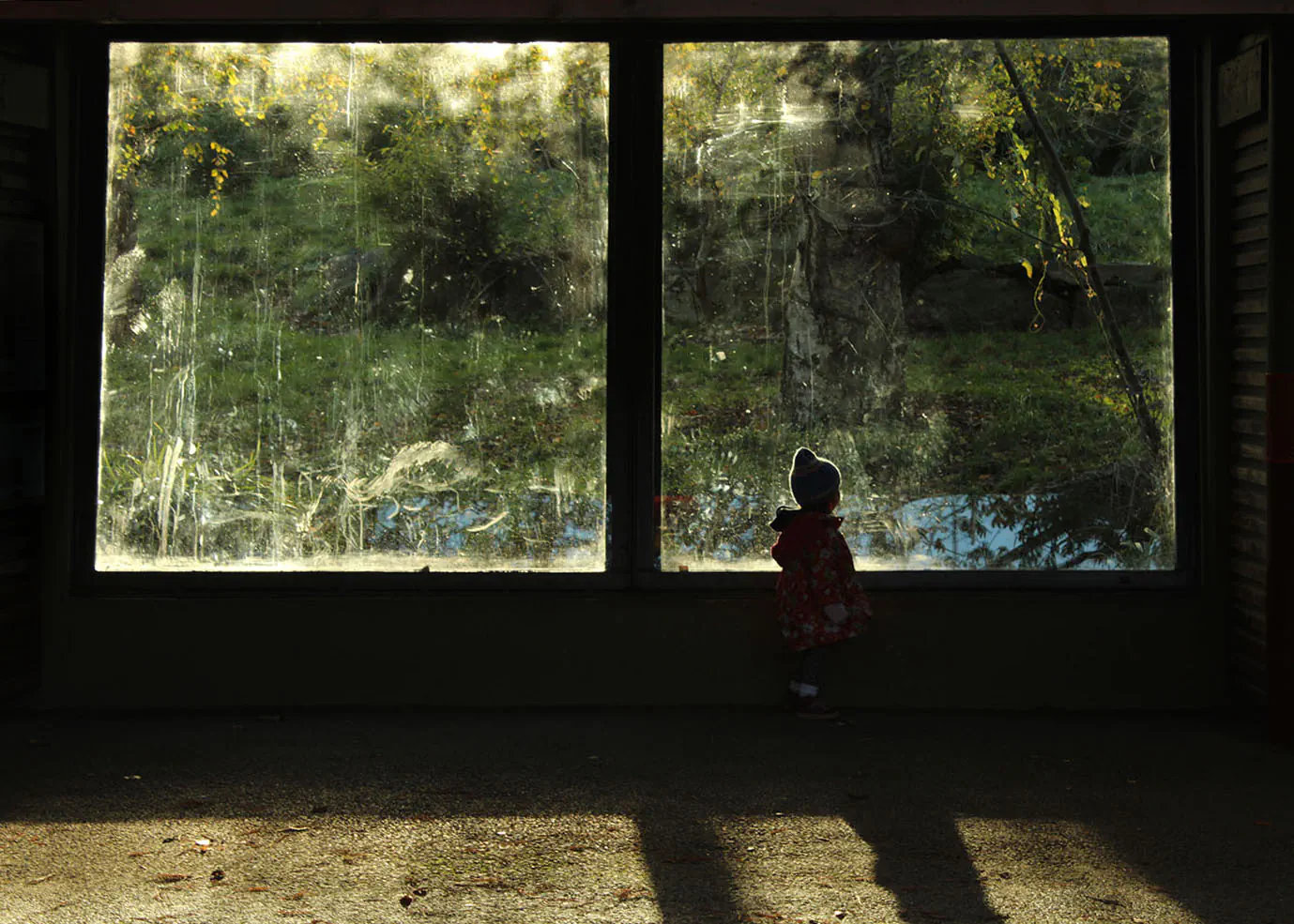Silhouette of a small child in front of a window at Dublin Zoo