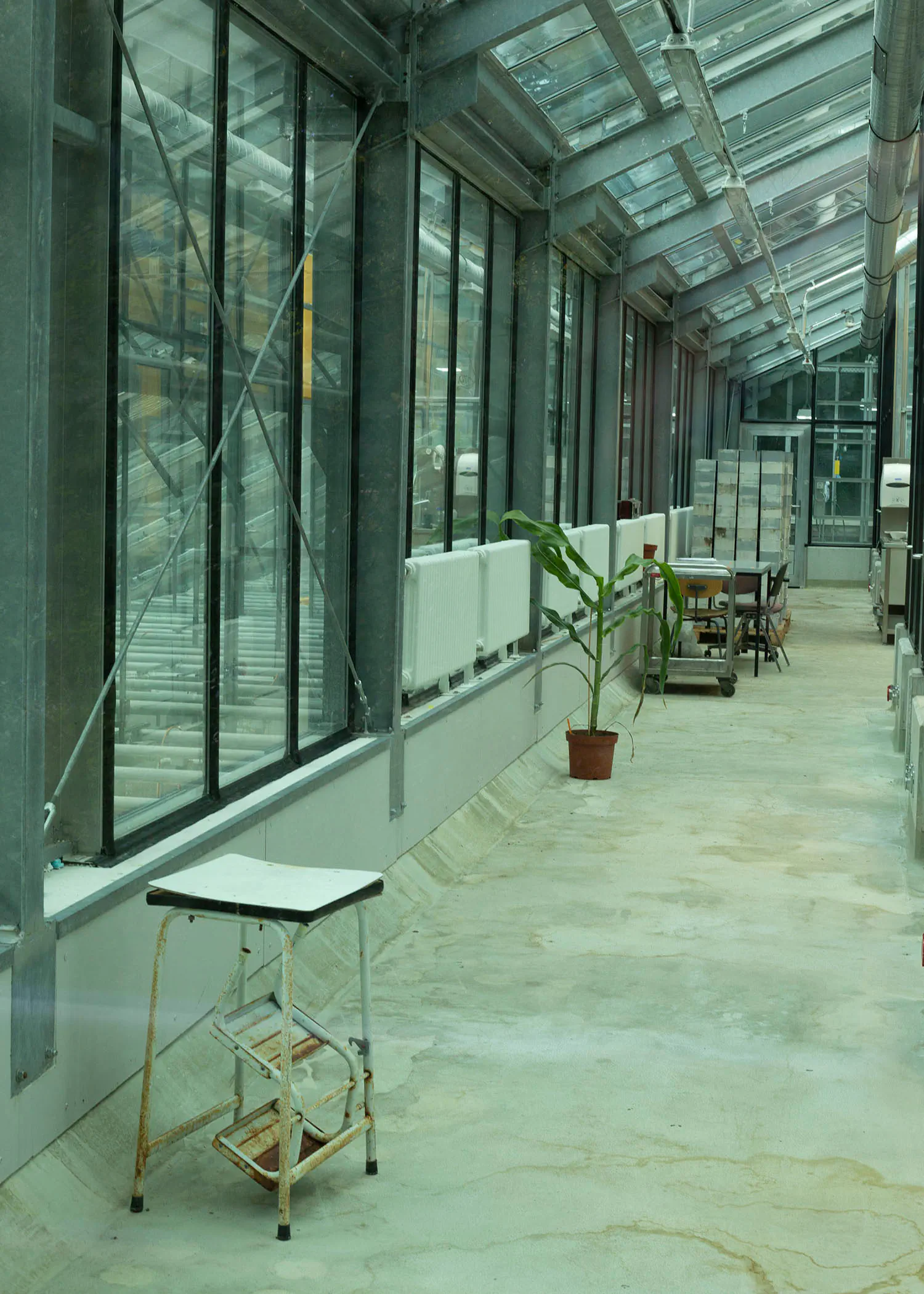 Corridor in a greenhouse with stool and plant at Botanical Gardens Freiburg