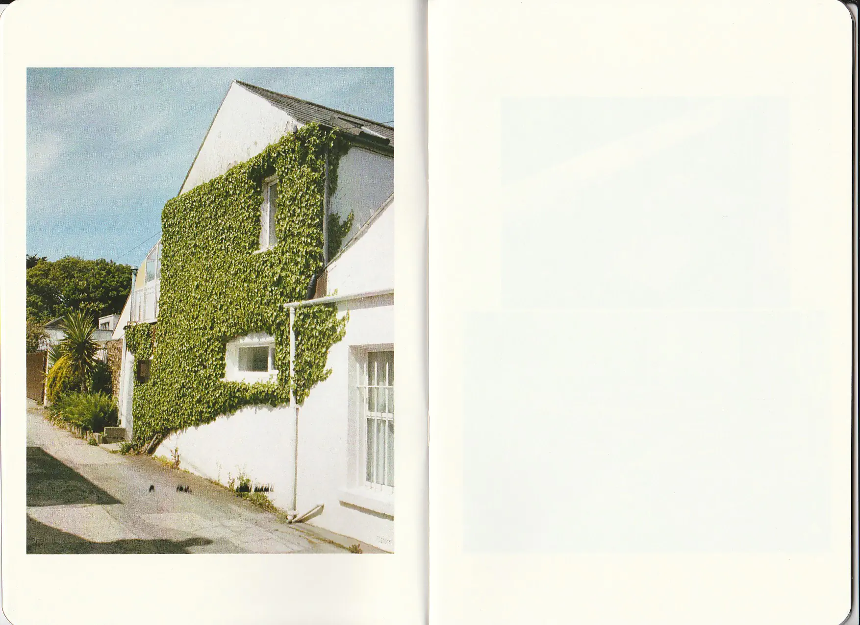 White suburban house overgrown with ivy